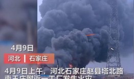 日本媒体爆料车祸视频最新,“日本车祸现场惊心动魄！媒体曝光最新视频细节”