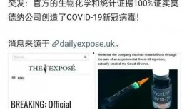 新冠公司爆料最新消息,揭秘疫苗研发进展与潜在风险