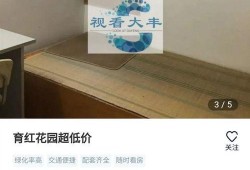 大丰房产爆料最新消息,揭秘神秘项目，房价走势再引关注！
