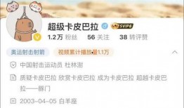卡哥最新爆料视频大全集,揭秘幕后真相，带你领略风云变幻